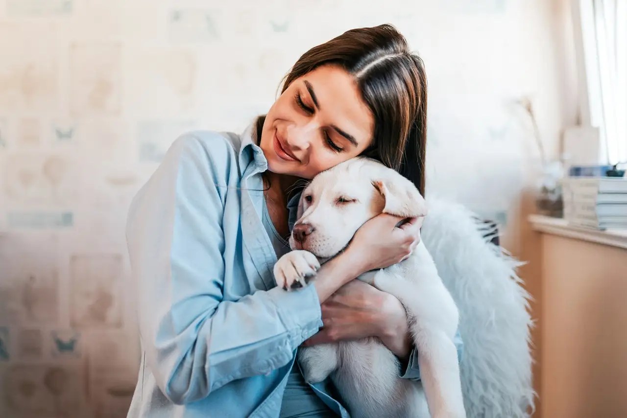 Adopt a dog
